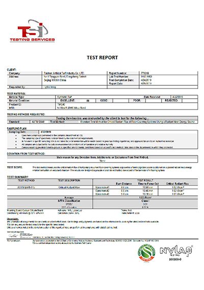 Informe de prueba del panel radiante TSI ASTM E648