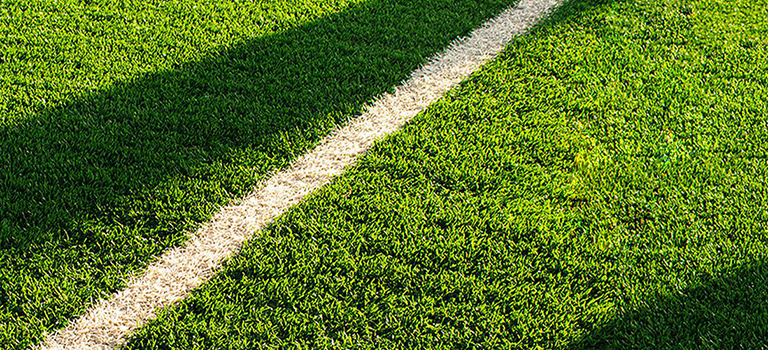 Leling Taishan Artificial Turf Industry Co.,Ltd.