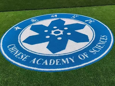 Césped artificial con logotipo universitario