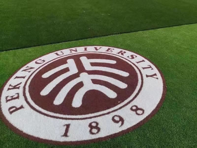 Césped artificial con logotipo universitario